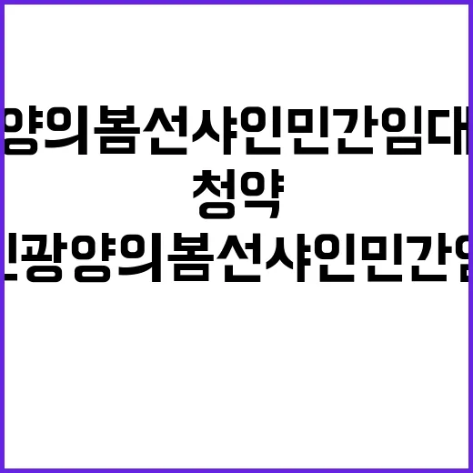 덕진 광양의 봄 선…