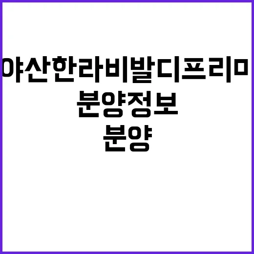 가야산 한라비발디 프리미어 임의공급 분양 정보 확인하세요!