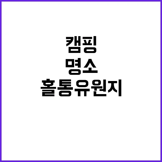 홀통 유원지 캠핑장…