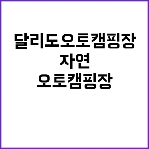 달리도 오토캠핑장