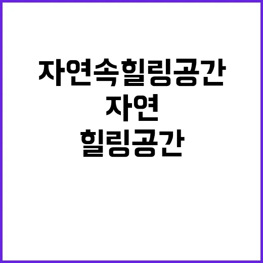 고래캠핑 완벽한 자…