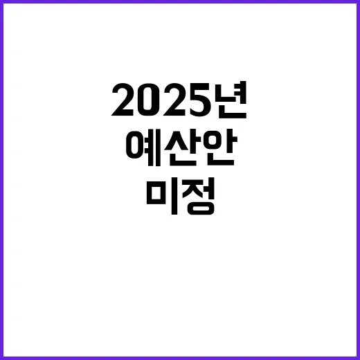 “예산안 2025년 총지출 규모 결정 미정 상태!”