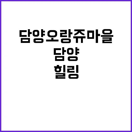 담양오랑쥬마을 여유…