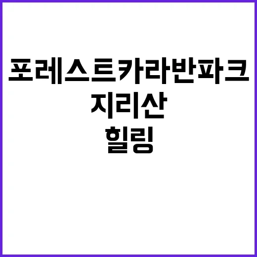 지리산 포레스트 카…