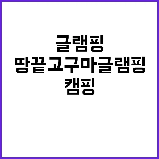 땅끝고구마글램핑 비…