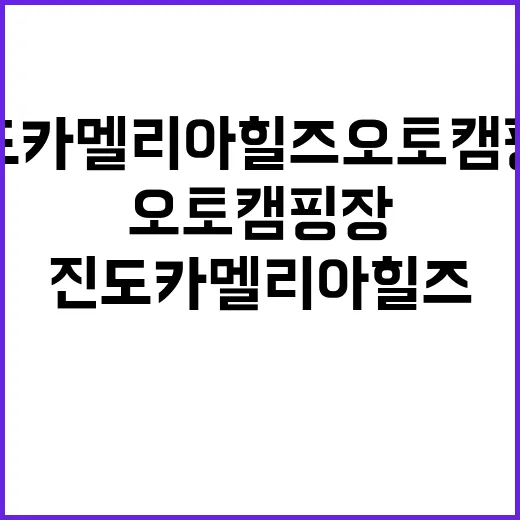 진도 카멜리아 힐즈 오토캠핑장