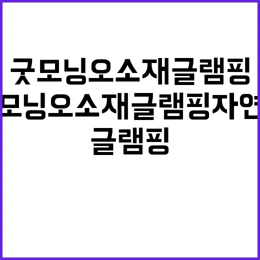 굿모닝오소재글램핑 …