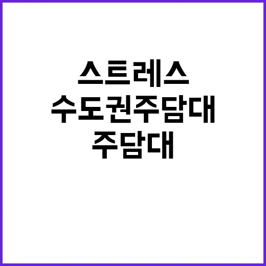 “수도권 주담대 더…