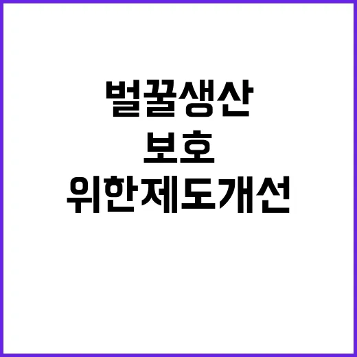 “벌꿀 생산농가 보…