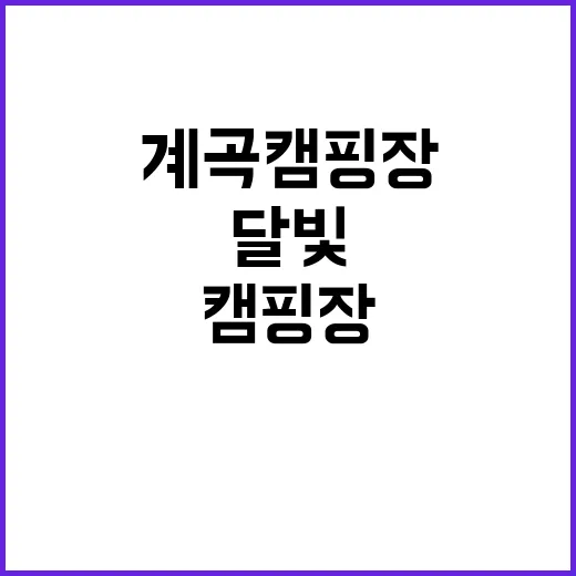 달빛 계곡 캠핑장 …