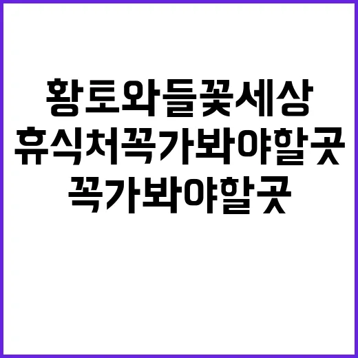 황토와들꽃세상 자연…