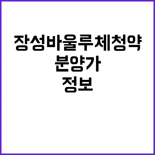 장성 바울루체 청약…