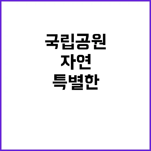 국립공원공단 비정규…