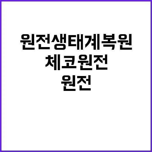 체코 원전 24조 원전 생태계 복원 프로젝트 시작!