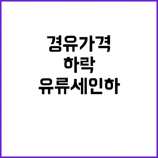 유류세 인하 휘발유…