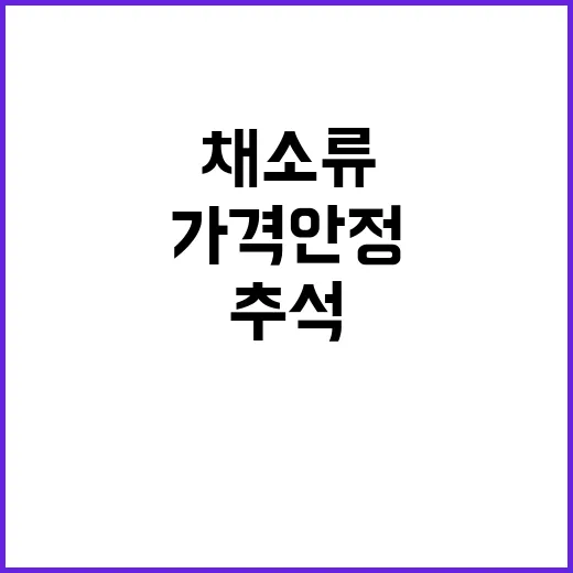 “추석 채소류 출하…