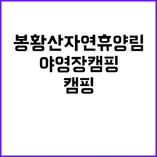 봉황산자연휴양림 제2야영장