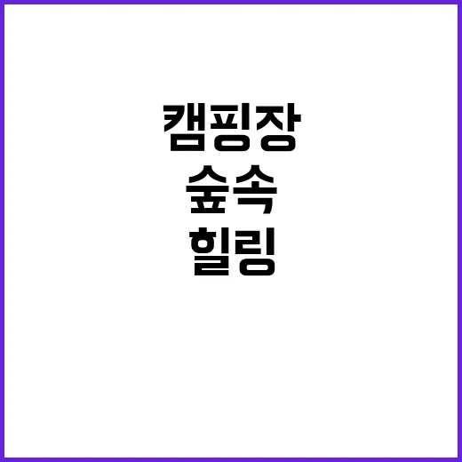 숲속캠핑장