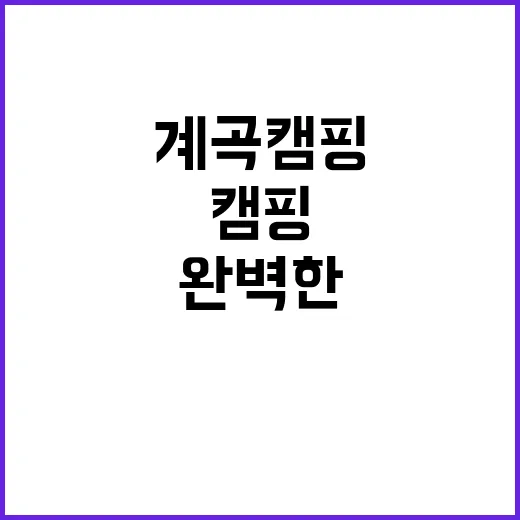 계곡캠핑펜션 여름 …