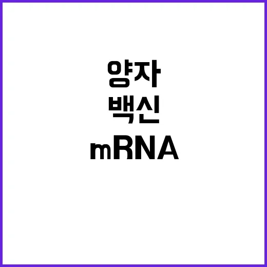 mRNA 백신 양자…