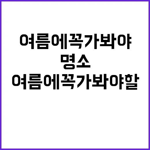 하얀바다 캠핑장