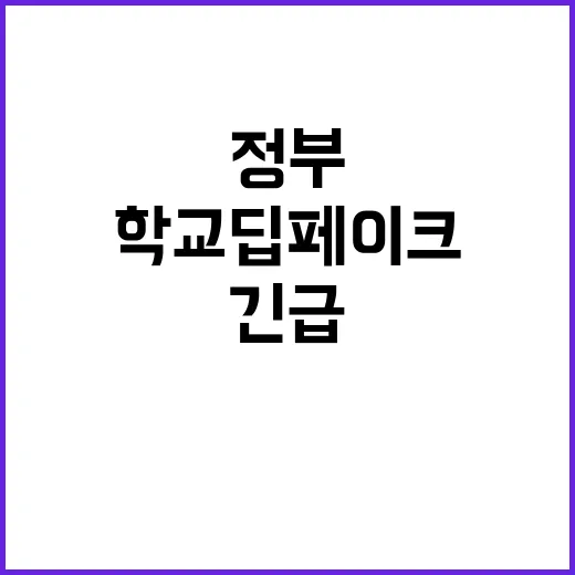 학교 딥페이크 정부 긴급 조직으로 해결한다!