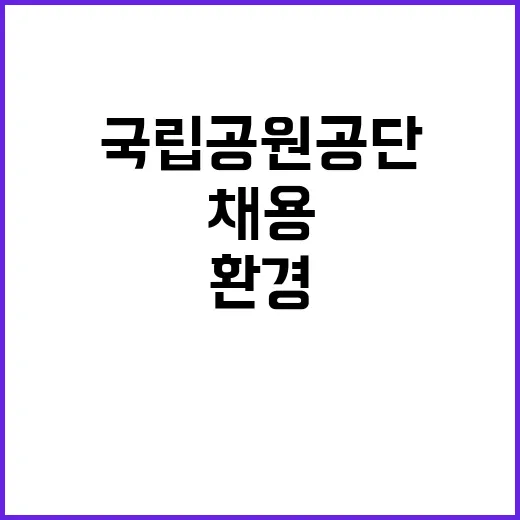 국립공원공단 비정규…