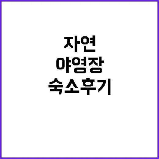 다도해야영장