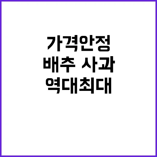 가격안정 배추·사과 역대 최대 공급 발표!