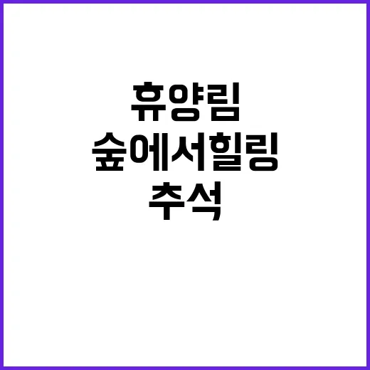 자연휴양림 추석 명…