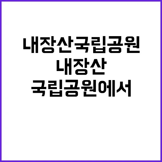 국립공원공단 비정규…