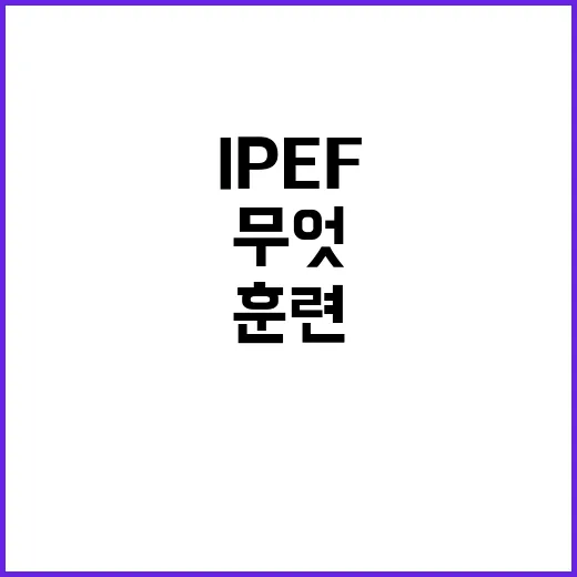 IPEF 모의훈련 …