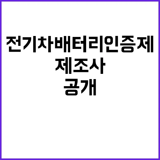 전기차 배터리 인증…