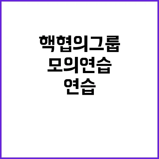 핵협의그룹 한반도 …