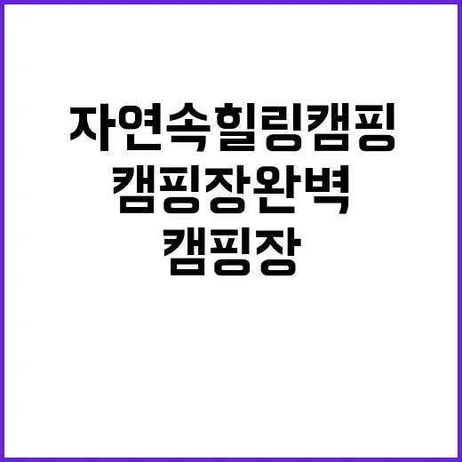 동글감나무캠핑장 완…