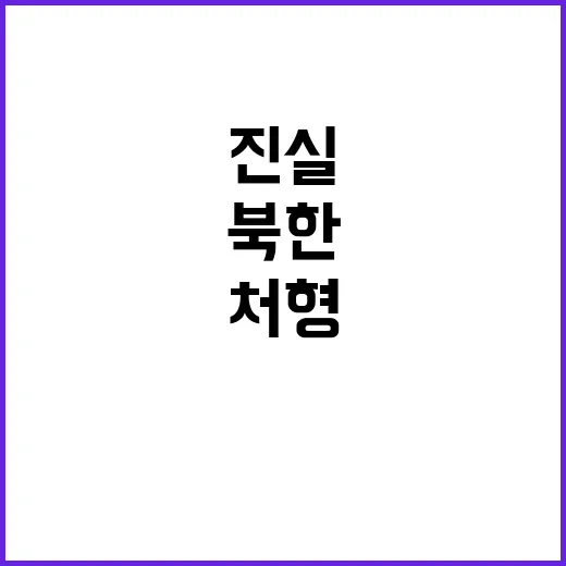 북한 공개처형 문체부 진실과 다른 이야기!