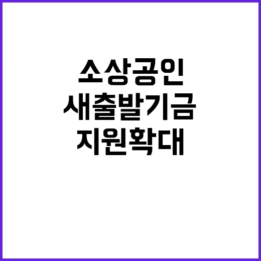 새출발기금 소상공인…