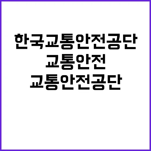 한국교통안전공단 비…