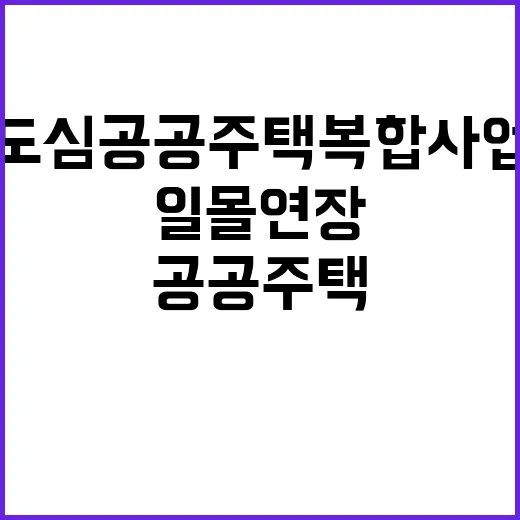 일몰 연장 도심 공…