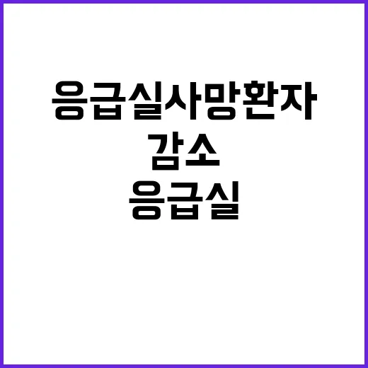 2024년 응급실 …