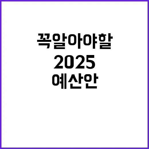 ‘국민 안전’ 2025 예산안 꼭 알아야 할 사실!