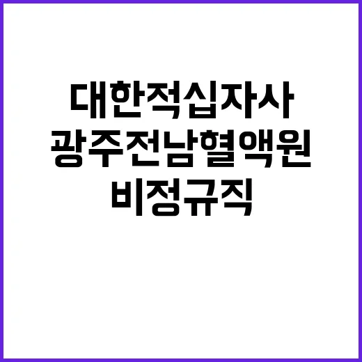 대한적십자사 비정규…