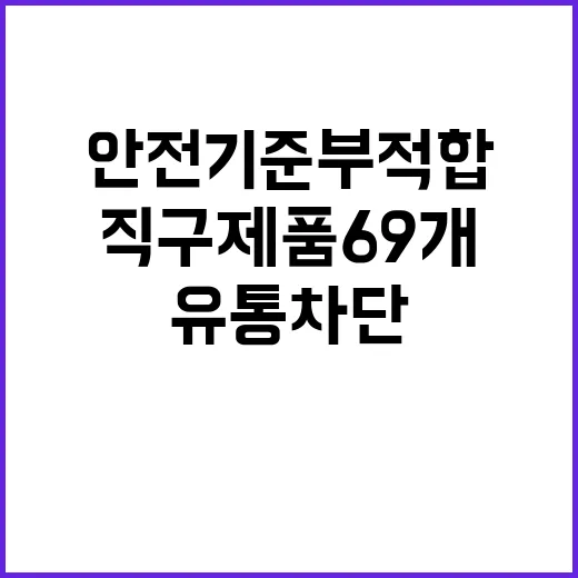 “직구 제품 69개 유통 차단 안전 기준 부적합”