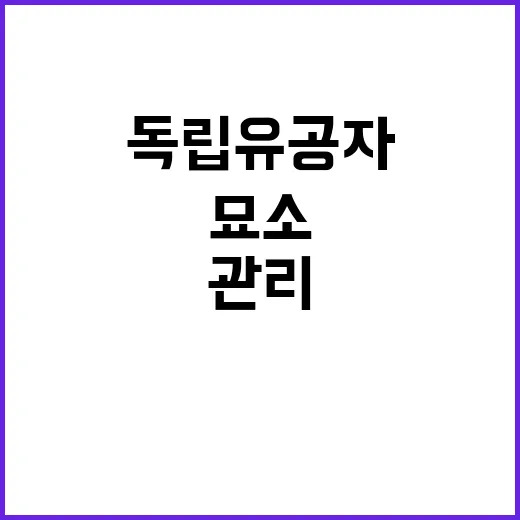 독립유공자 묘소 파…