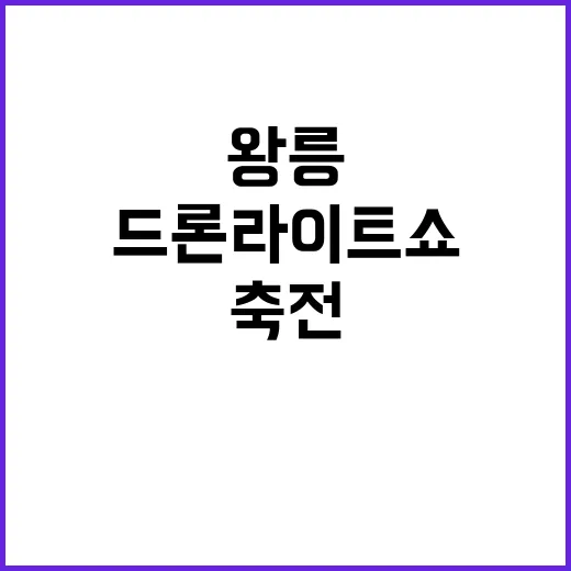 왕릉 드론 라이트쇼…