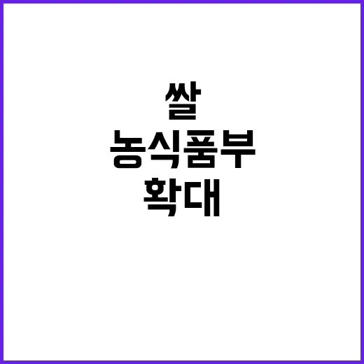 쌀 소비 확대 농식품부의 숨겨진 정책 비밀!