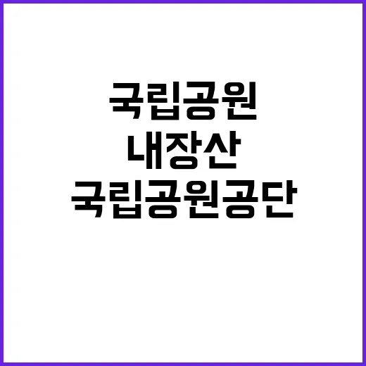 국립공원공단 비정규…