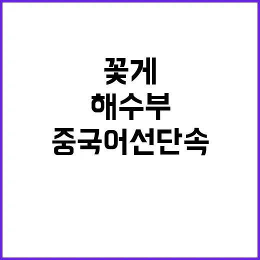 “꽃게 수급 안정 해수부의 중국어선 단속 노력”