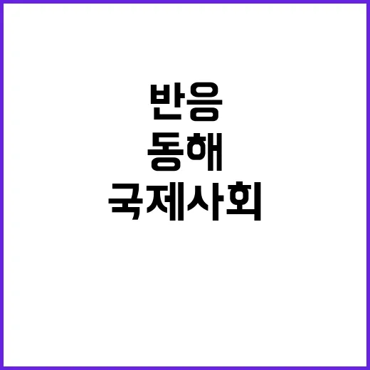 동해 표기 국제사회 반응과 노력 속 내막 공개