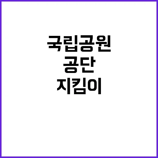 국립공원공단 비정규…